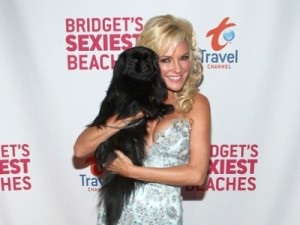 bridgettravelchannel