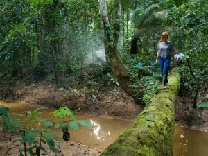 Into The Amazon Bolivias Gateway To The Jungle2