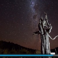 newzealandtimelapsevideo