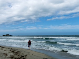 Feeling Tiny In Colombias Tayrona National Park1
