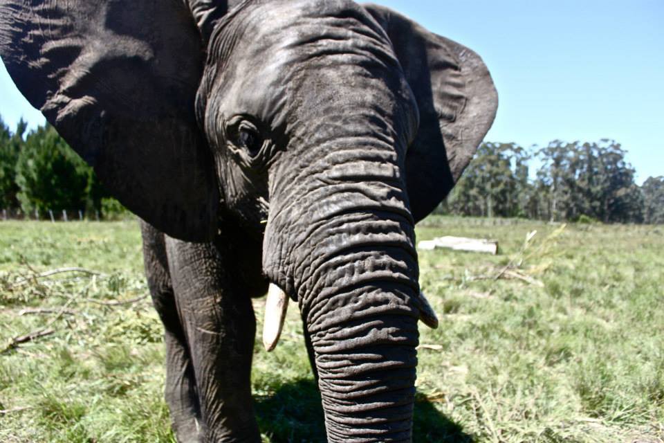 10 Travel Tips Rick Steves Won’t Tell You4